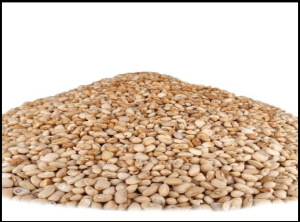 Honey beans (ewa oloyin)